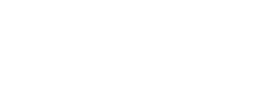 Piron GmbH